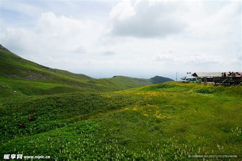 山坡上面野花多 野花紅似火